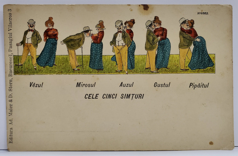 ''CELE CINCI SIMTURI '' , DESEN SATIRIC , CARTE POSTALA ILUSTRATA CLASICA , CROMOLITOGRAFIE