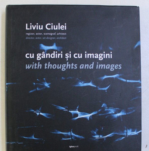 CU GANDIRI SI CU IMAGINI,WITH THOUGHTS AND IMAGES-LIVIU CIULEI