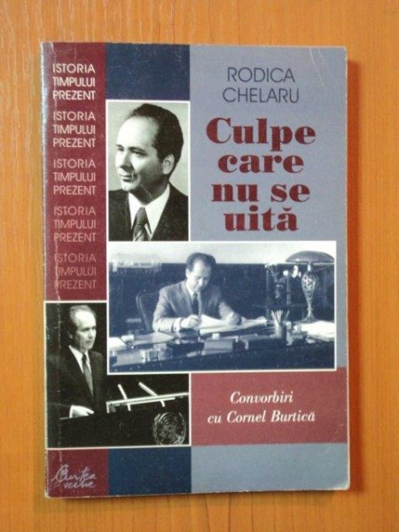 CULPE CARE NU SE UITA de RODICA CHELARU , 2001S