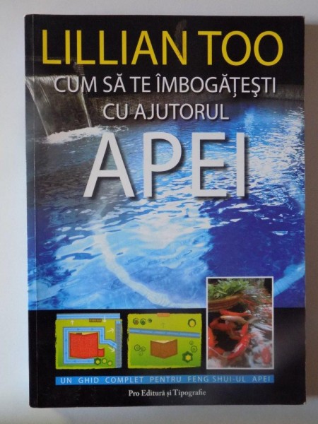 CUM SA TE IMBOGATESTI CU AJUTORUL APEI de LILLIAN TOO , 2007