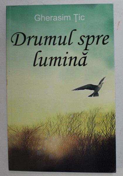 DRUMUL SPRE LUMINA de GHERASIM TIC , 2019