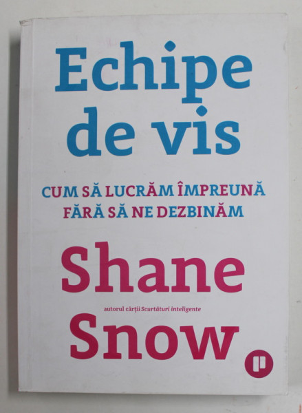 ECHIPE DE VIS - CUM SA LUCRAM IMPREUNA FARA SA NE DEZBINAM de SHANE SNOW , 2019