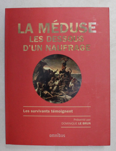 LA MEDUSE , LES DESSOUS D ' UN NAUFRAGE , LES SURVIVANTS TEMOIGNENT par DOMINIQUE LE BRUN , 2018