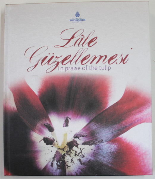 LALE GUZELLEMESI IN PRAISE OF THE TULIP , 2007