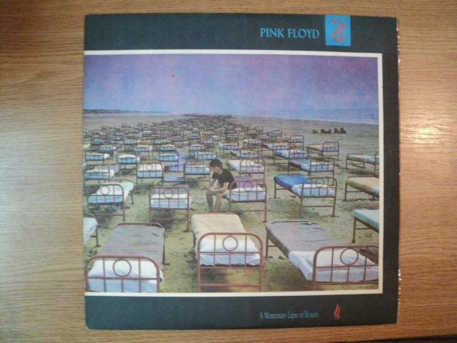 PINK FLOYD - A MOMENTARY LAPSE OF REASON