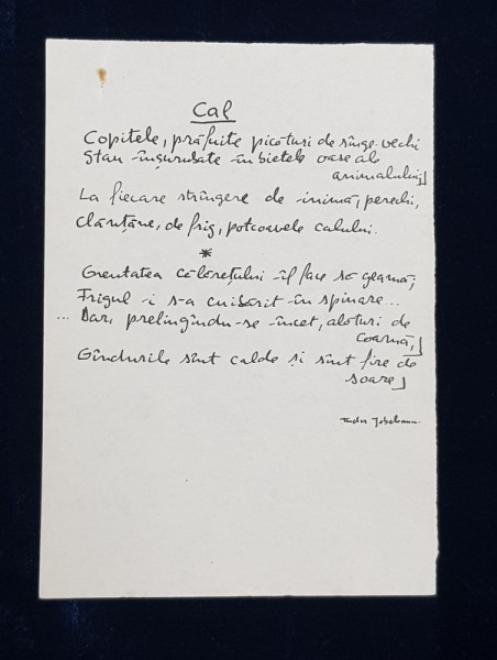 TUDOR  JEBELEANU , MANUSCRIS , POEZIA ' CAL ' , ANII '60
